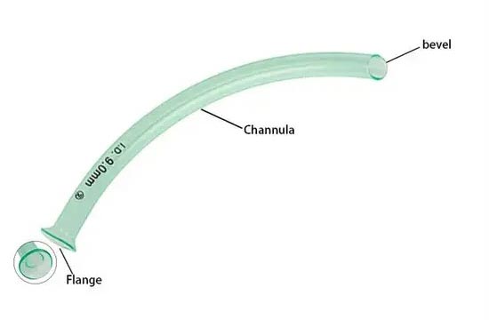 Nasopharyngeal Airway
