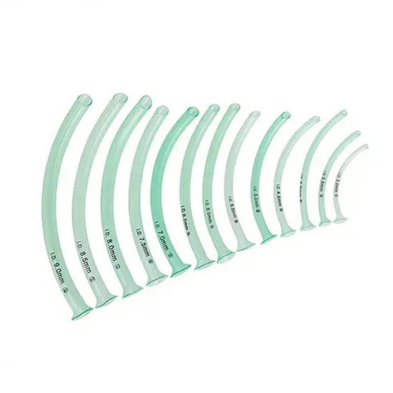 Voies respiratoires nasopharyngées